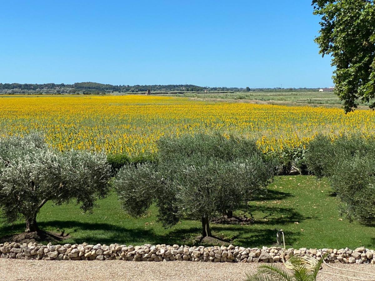 Le Domaine De Laforest Fontvieille Exterior photo
