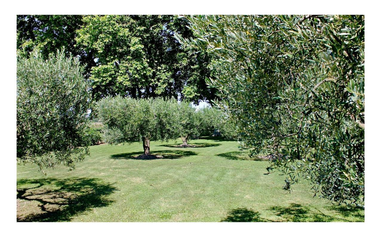 Le Domaine De Laforest Fontvieille Exterior photo